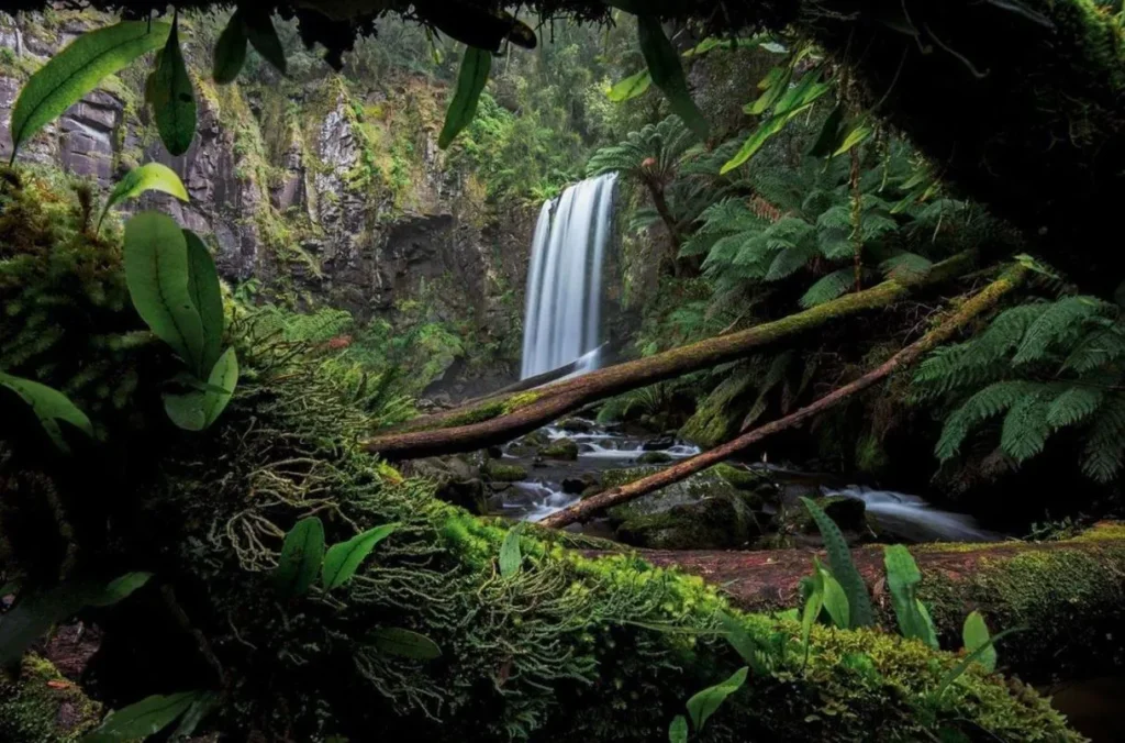 Great Otway National Park