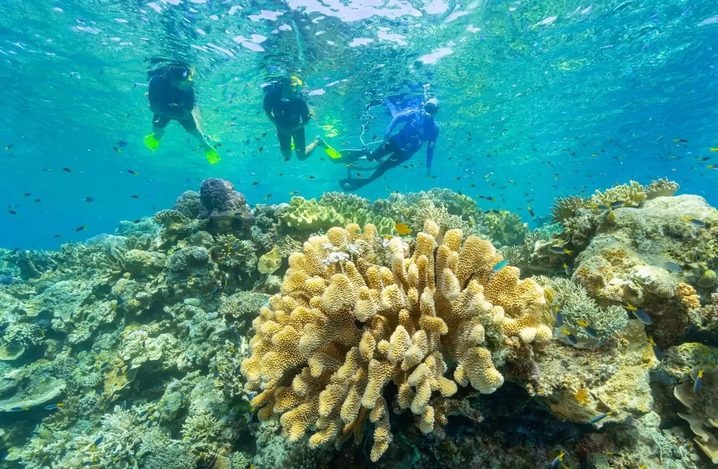 Sand City Egypt | The 2026 Health Report: Why You Should Visit the Reef Before the June Review Why This Mid-Year Assessment Matters To You