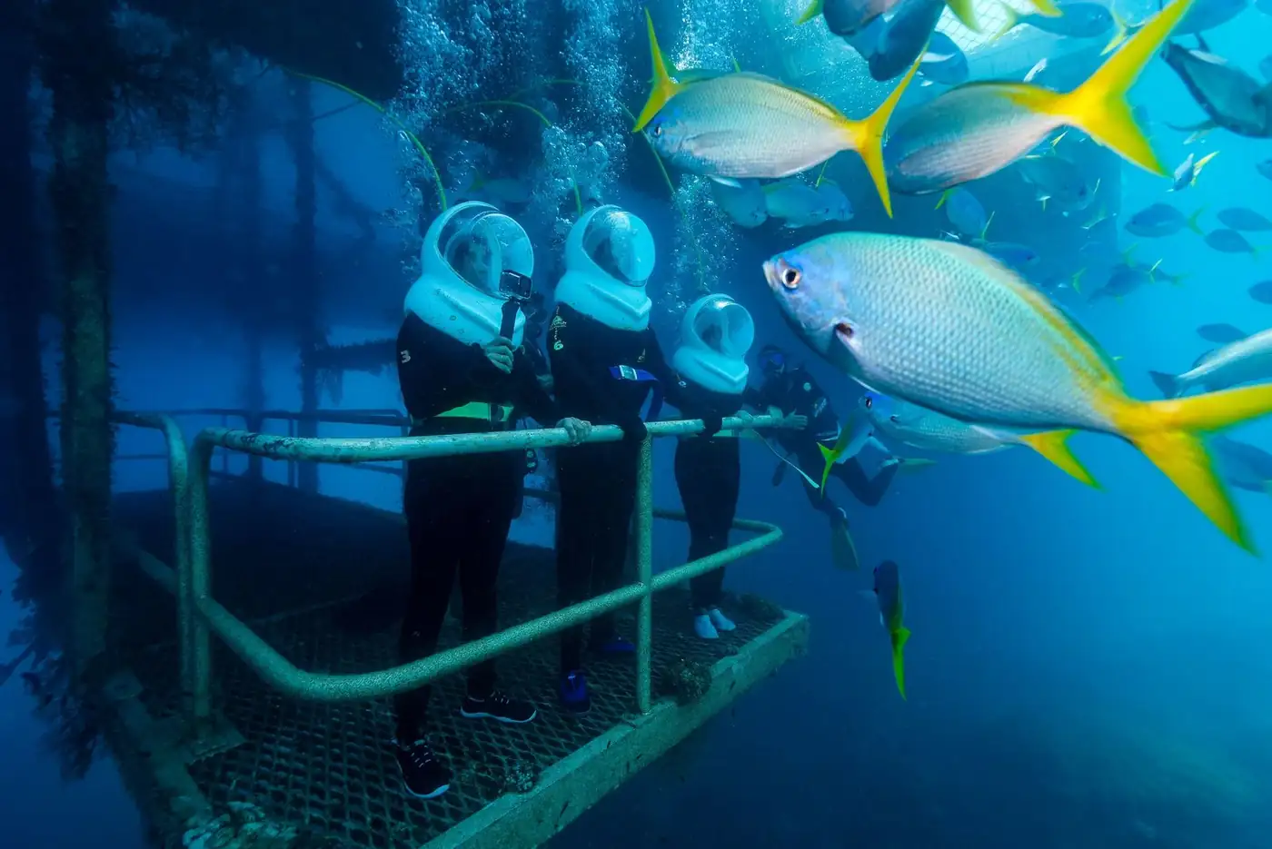 The 2026 Health Report: Why You Should Visit the Reef Before the June Review