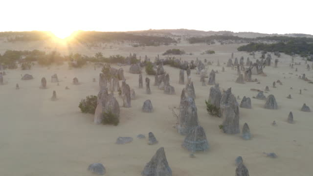 A Tour to Remember: Exploring the Pinnacles